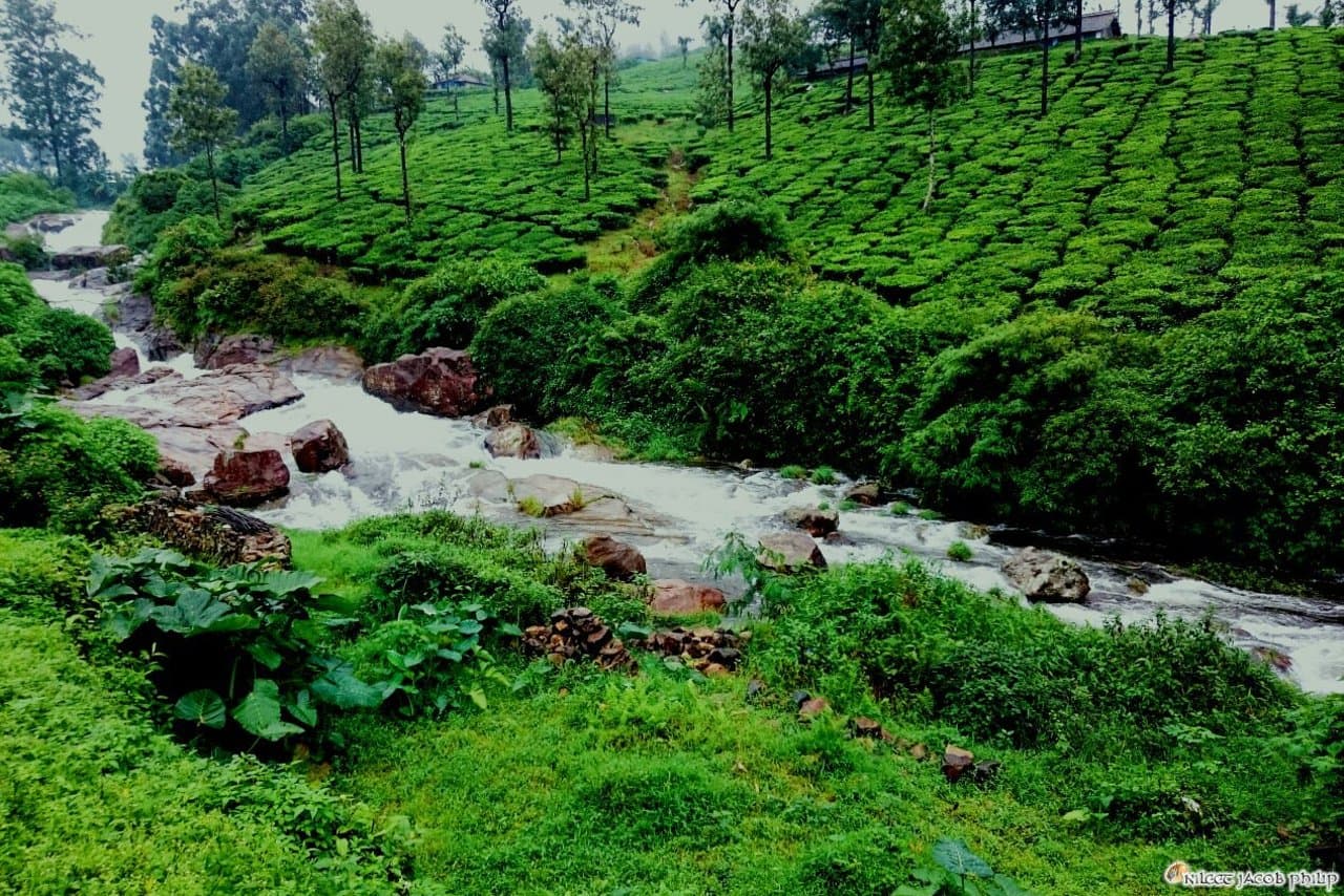 Valparai Hill Station Tour